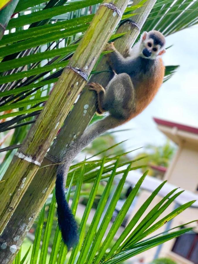 Suenos De Amor! Hermoso Y Acogedor Lugar Кепос Экстерьер фото